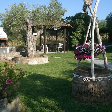 Villa Alexandra Suites Polychrono Dış mekan fotoğraf